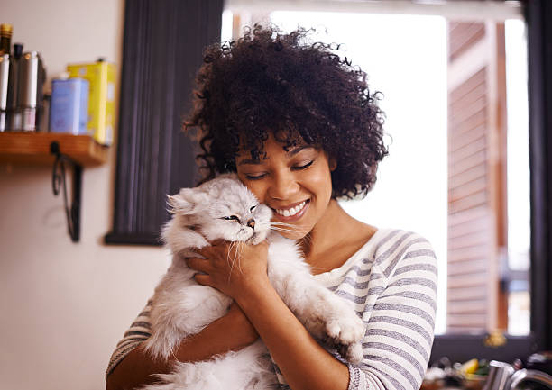 Hot Pet Trends
