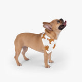 Ginger Bread Pet Bandana