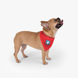 Pet Bandana