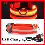 Rechargeable LED Glowing Adjustable Flashing Luminous Dog & Cat Collar