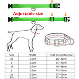 Rechargeable LED Glowing Adjustable Flashing Luminous Dog & Cat Collar