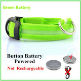 Rechargeable LED Glowing Adjustable Flashing Luminous Dog & Cat Collar